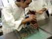 About Academia Barilla Pastry Class Introduction